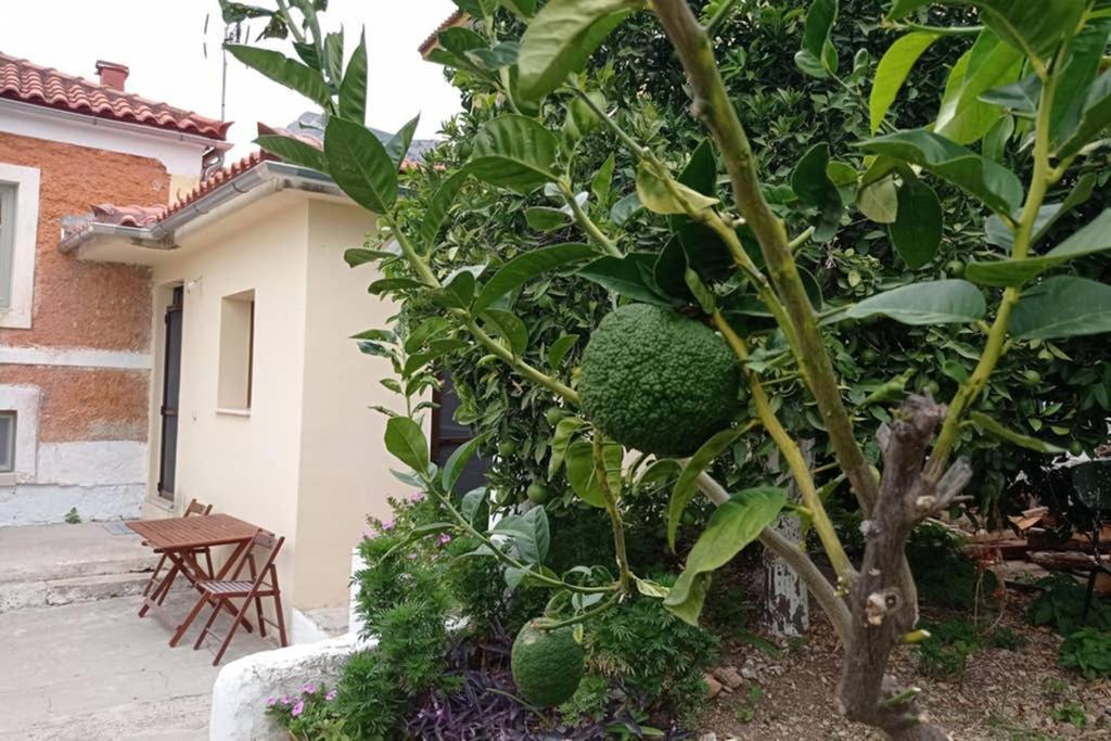 Afroditis'S & Makis'S Apartment Leonidio Exterior photo